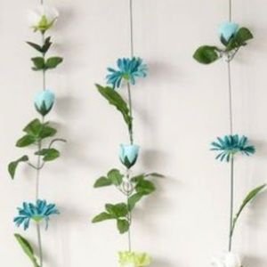 Meet your Posher, Riley